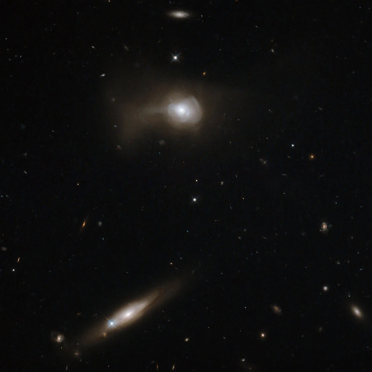 Markarian 779 has a distorted appearance because it is likely the product of a recent galactic merger between two spirals.