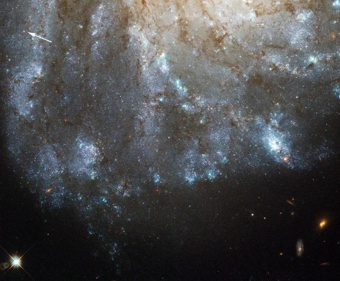 An image of spiraling galaxy arms full of bright blue new stars, with a white arrow pointing to the star PTF 10fqs.