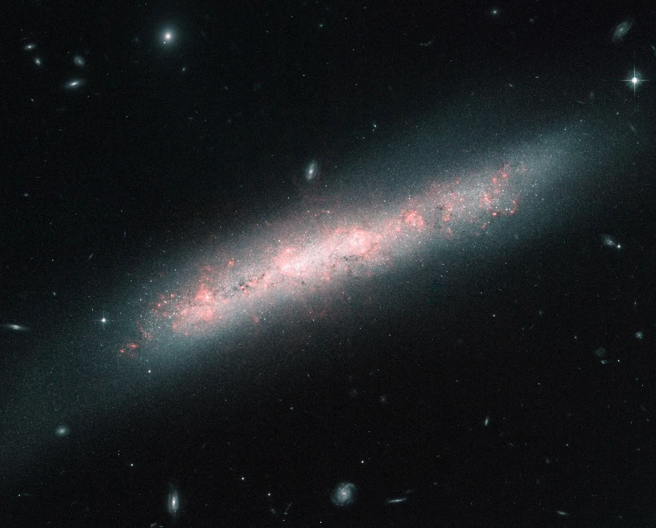 Hubble Sees A Galaxy Festooned With Stellar Nurseries - NASA Science