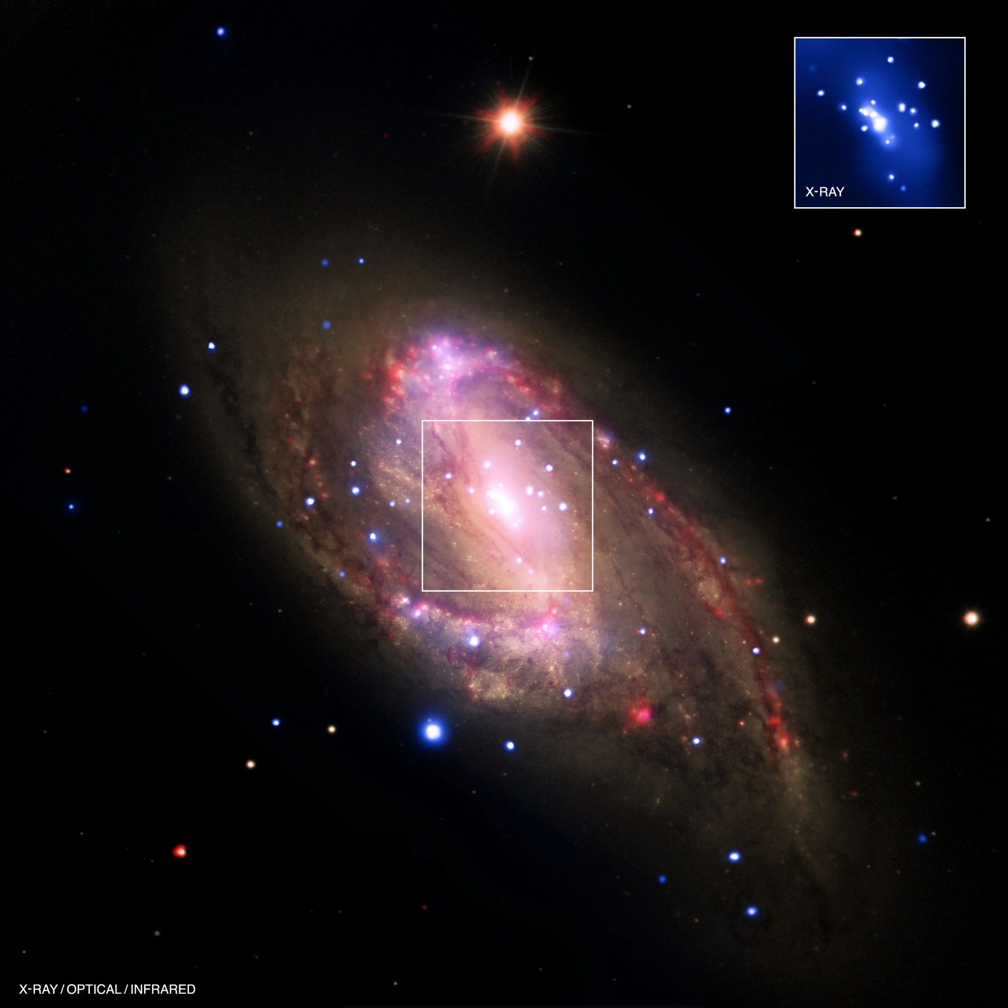 Spiral galaxy ngc 3627