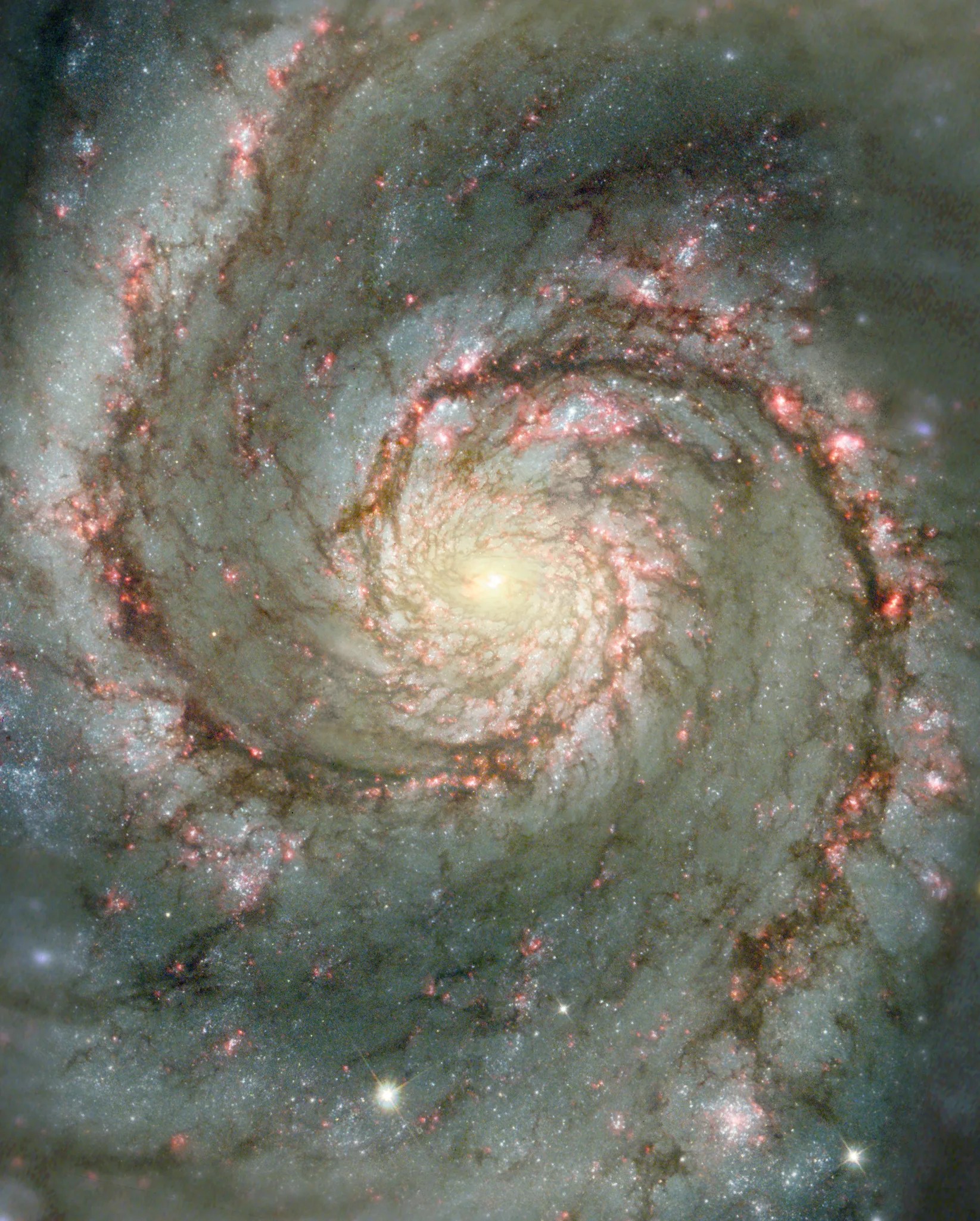 The whirlpool galaxy