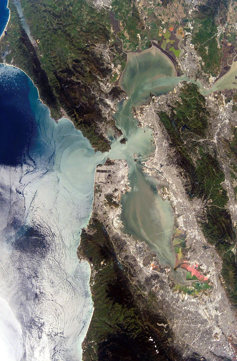 SF Bay - 2.JPG