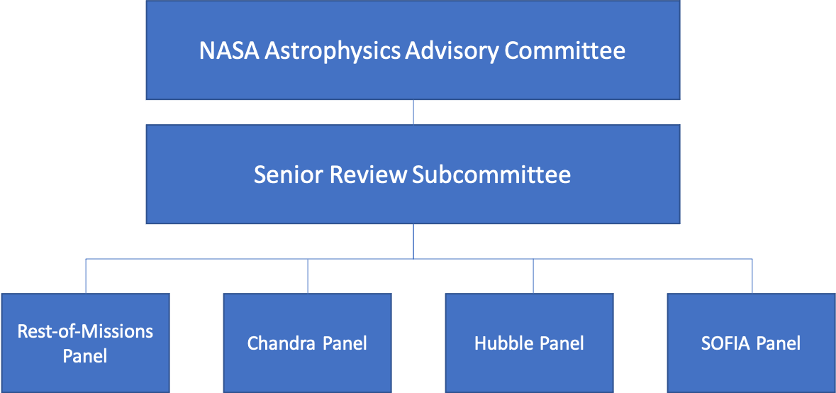 Organization Chart for the 2022 Senior Review Panel