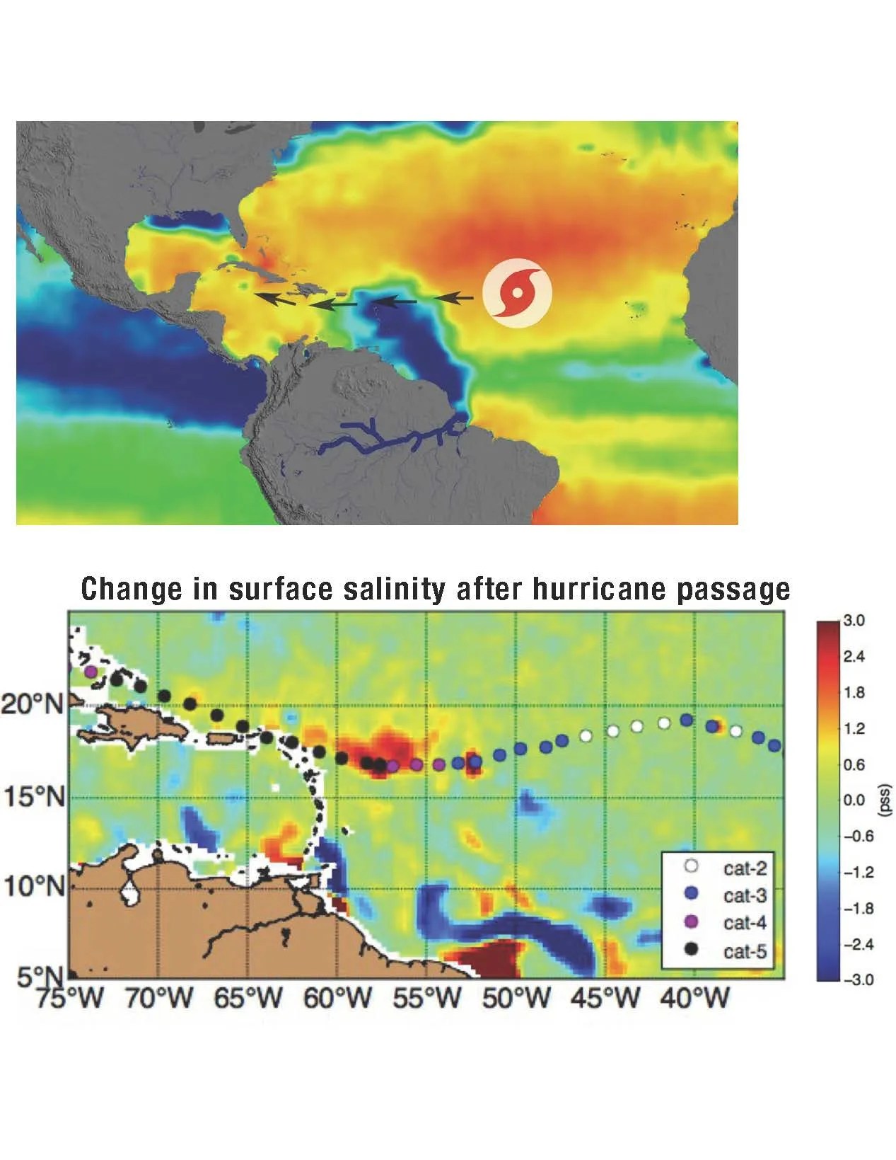 Salinity - 1.jpg