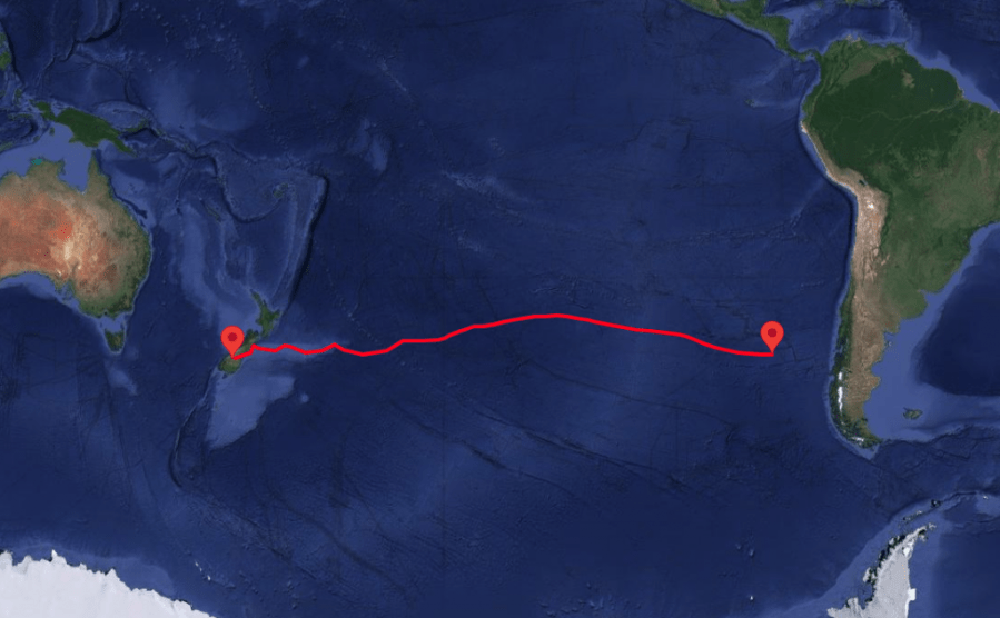 A Google Map view of the Pacific Ocean, with Australia on the left and South America on the right. A pin is on New Zealand where the balloon originated from and a red line extends to the right toward South America, with another red pin just off the coast.