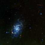 The Wide-field Infrared Survey Explorer (WISE) mission captured this infrared view of an Earth-orbiting satellite (green streak, lower right), the Main Belt Asteroid Regina (which appears as a string of orange dots, upper right), and the Triangulum Galaxy (center left), one of the closest galaxies to our own Milky Way. In this heat-sensitive infrared image, the shortest wavelengths are color-coded blue, and the longest are shown as red. Regina was detected by the WISE's mission asteroid-finding pipeline, kn