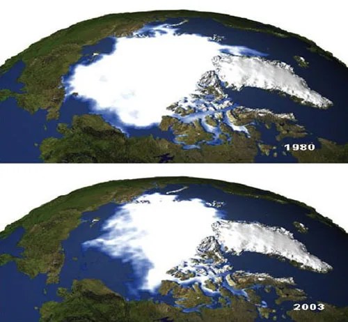 Two images of the earth illustrating the reduction in ice cover from 1980 to 2003