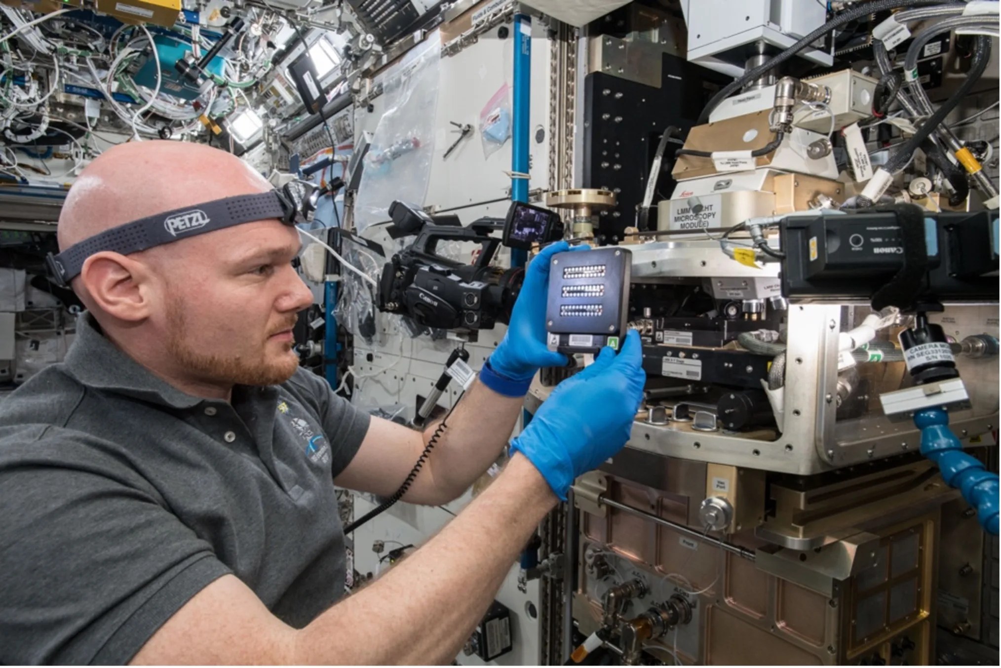 Astronaut in International Space Station with blue latex gloves holding flat, square device. Surrounding astronaut are wires and mechanical devices.