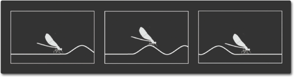 An illustration in 3 panels — the first panel shows a wave approaching an insect sitting on the surface of the water. Second panel shows the wave passing underneath the insect, the insect stays in the same place but moves up as the wave passes. Third panel shows that the insect did not move with the wave, instead the wave had passed by the insect.