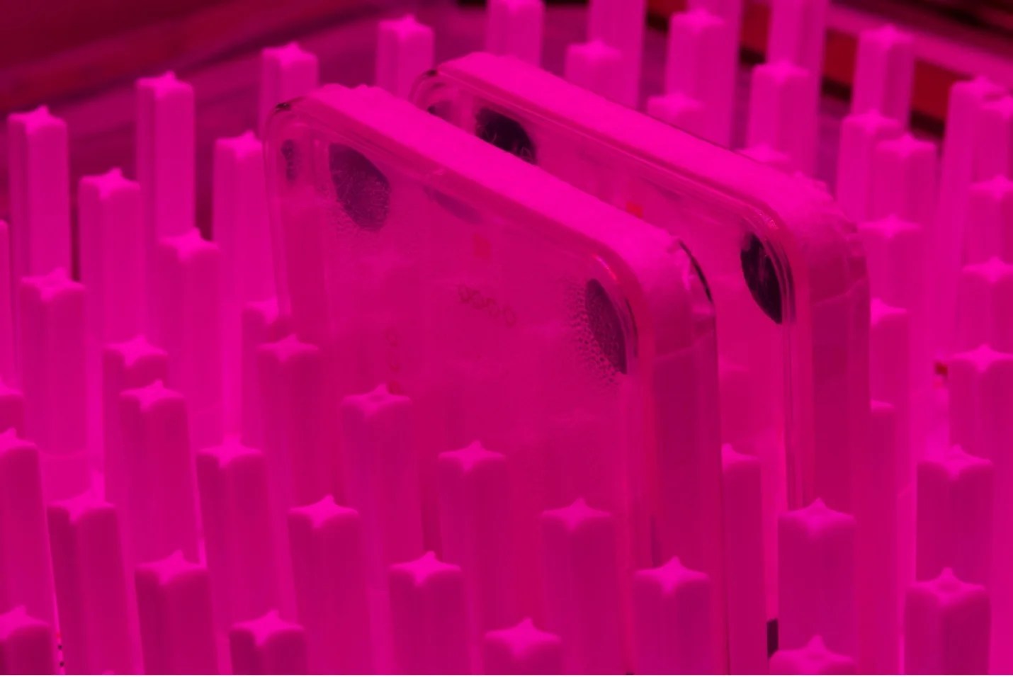 Lit in fuchsia light, an array of white plastic tubes in the shape of four-point stars stand in rows next to each other. Slid between these tubes are two square dishes. These dishes are transparent on one side and white on the other. Through the transparent side are two black circles, one on each of the top corners.