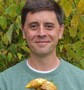 Portrait photo of a smiling man with short brown hair wearing a light green sweatshirt standing in front of a green leafy shrub and holding a large mushroom