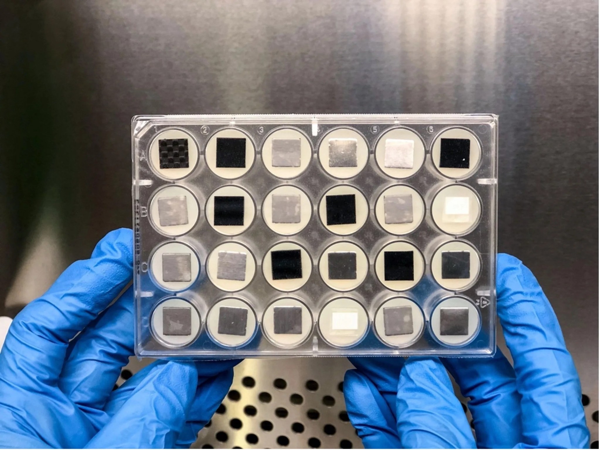 Clear plastic rectangle container containing rows of circles with smaller square samples within each circle.