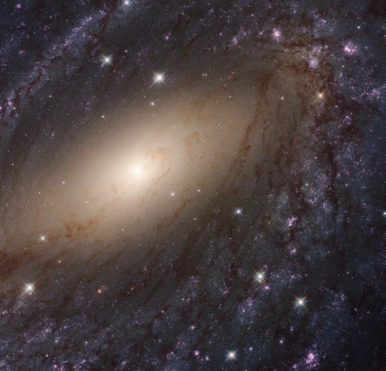 A large spiral galaxy fills the frame. A bright core of stars, just left of center. Dust-filled spiral arms wrap around toward the top, right, and bottom of the image.