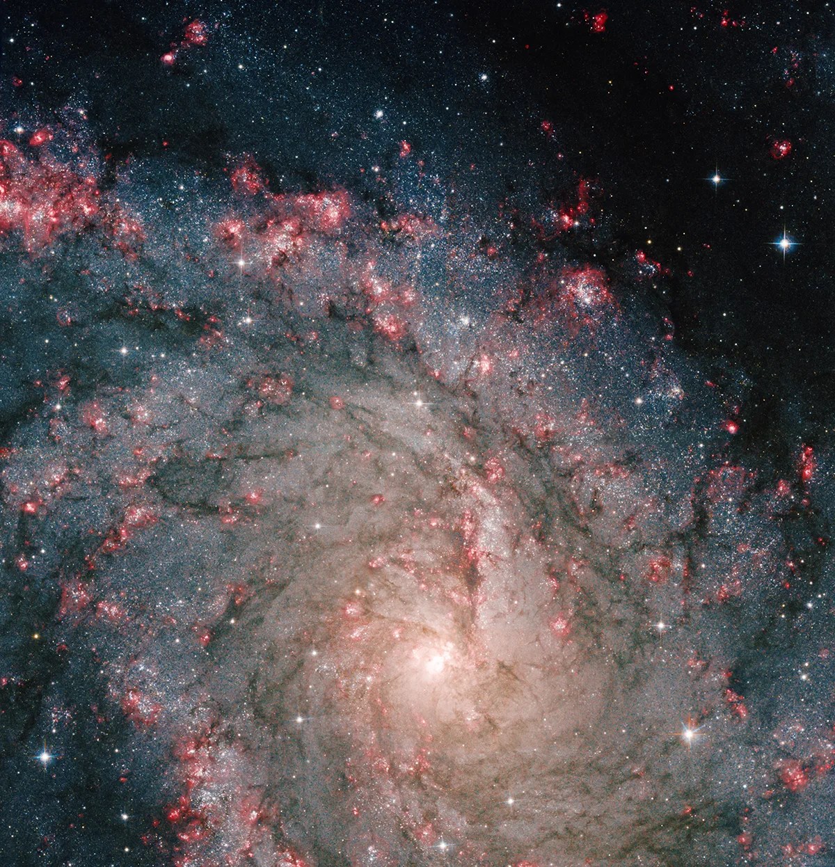 Large spiral galaxy with bright white center, surrounded by countless blue, white, and purple stars. Light blue dust and gas surrounds it.