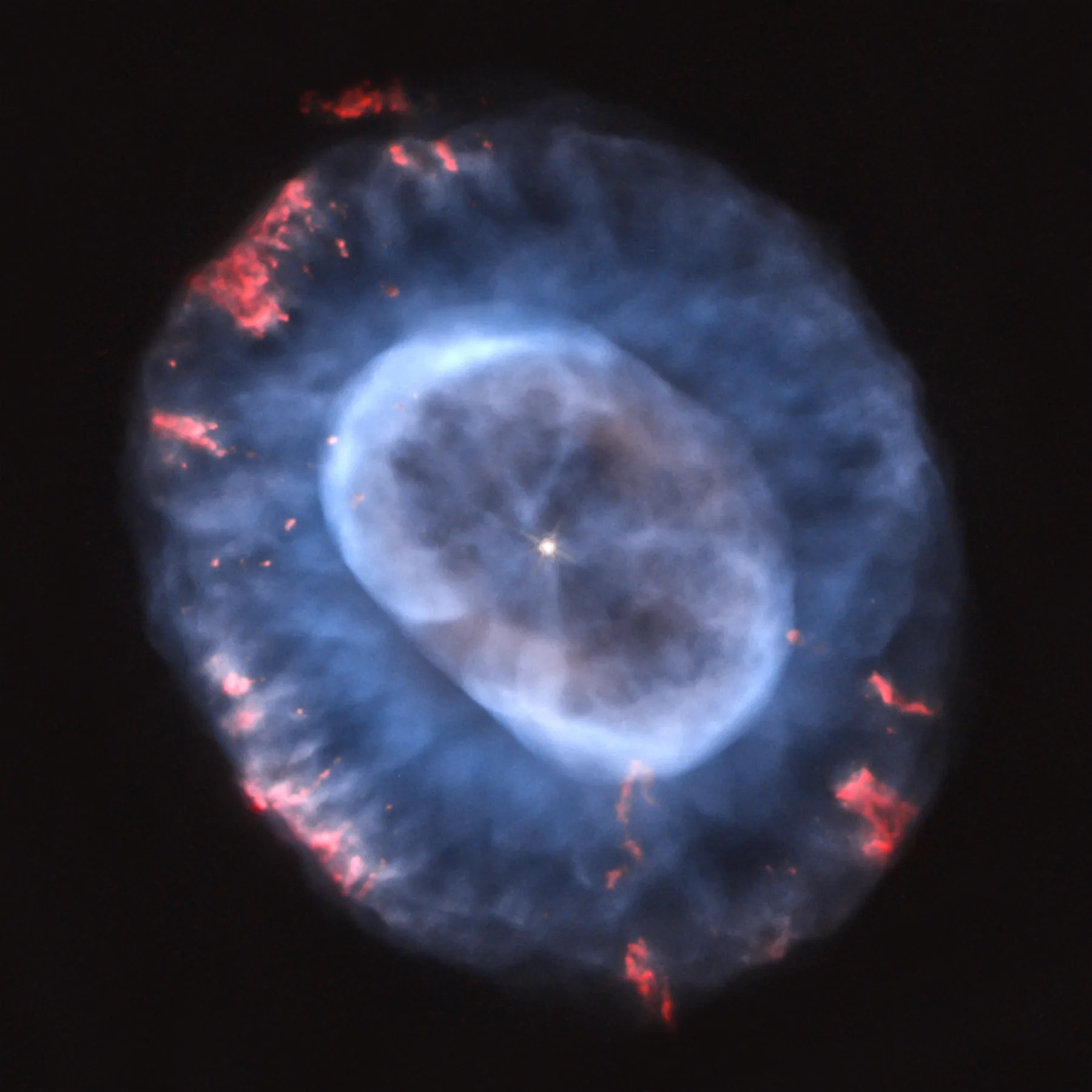 Light blue dust and gas forms an egg shaped shell surrounding a bright white star in the center. There is an outer shell as well, also light blue, with some pink on the edges.