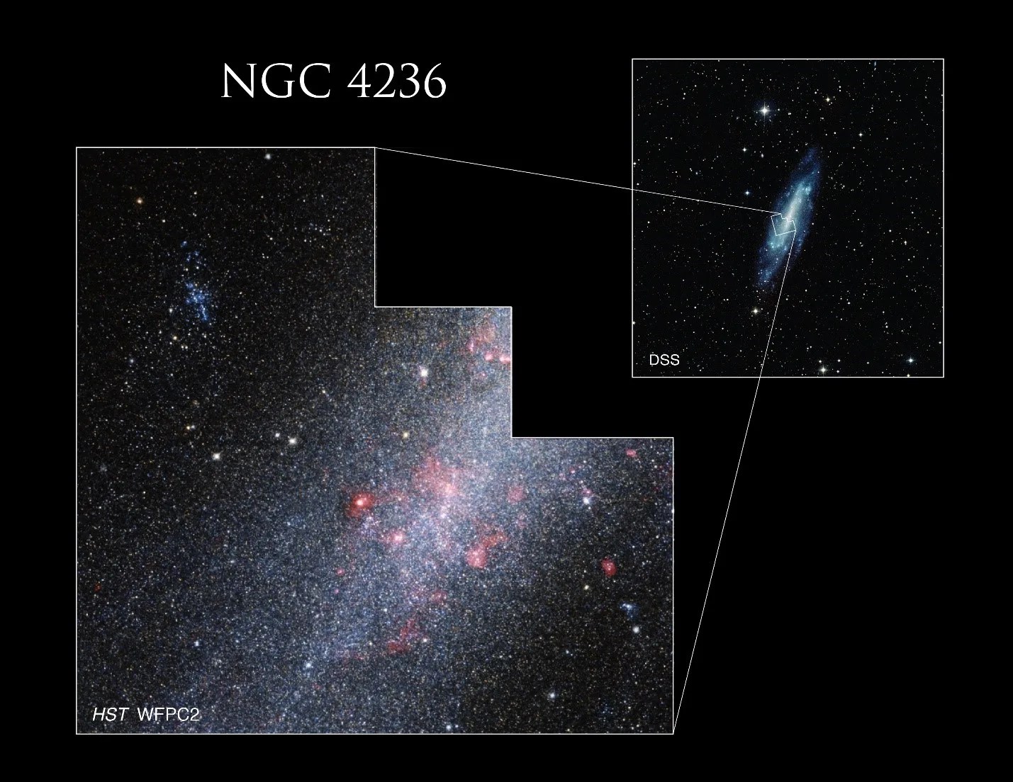 On the left of the image is the Hubble shot of C3 with the dust and stars of blue and white.