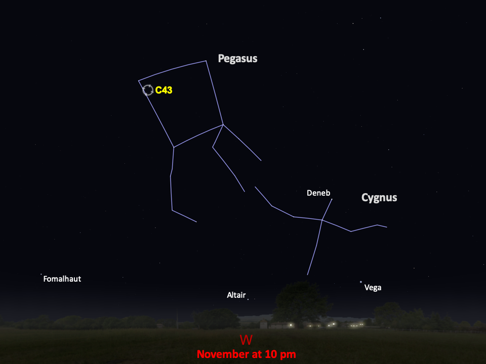 A star chart shows C43 in the constellation Pegasus in the western night sky in November at 10pm.