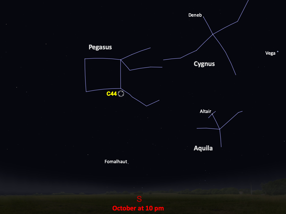 A star chart shows C44 next to the constellation Pegasus in the southern night sky in October at 10pm.