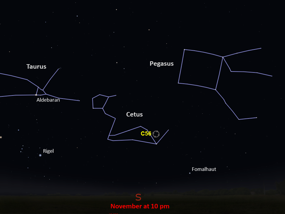 A star chart shows C56 in the lower-right of the constellation Cetus, in the southern night sky in November at 10pm.