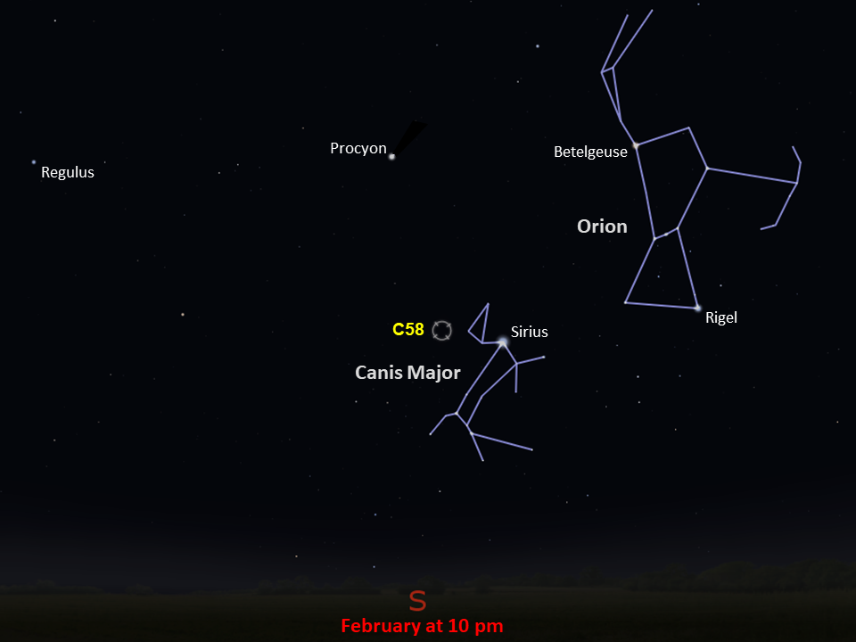 A star chart shows C58 to the left of the constellation Canis Major, in the southern night sky in February at 10pm.
