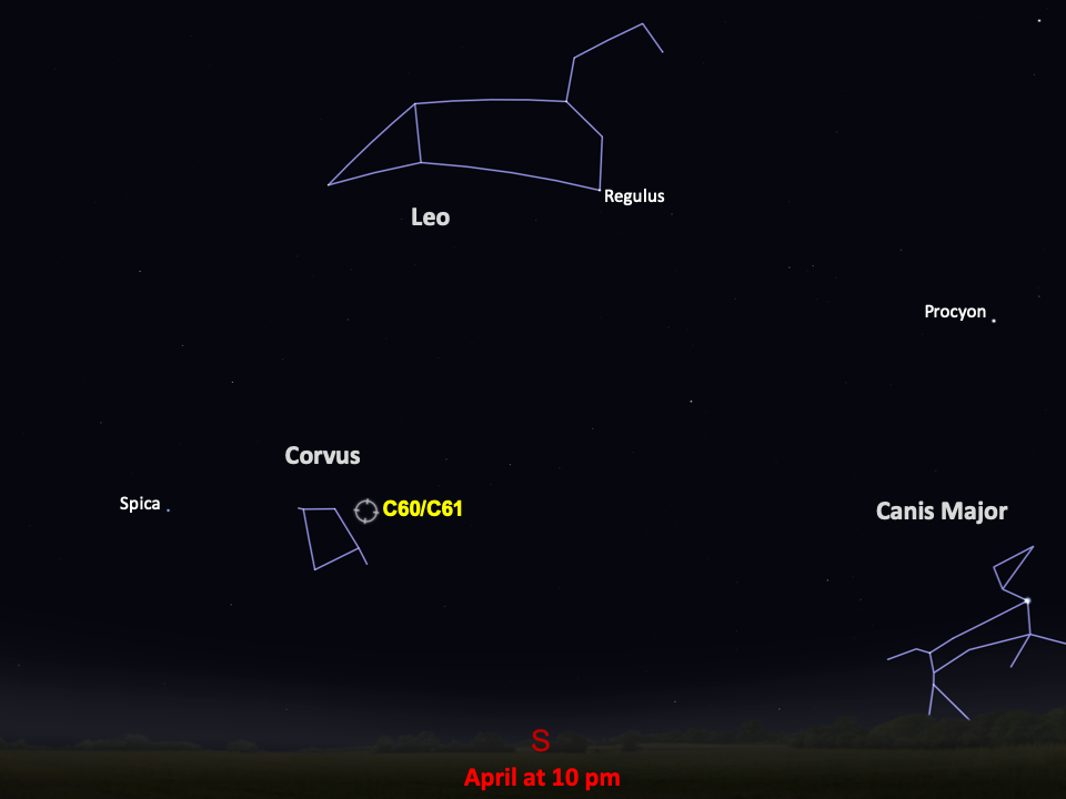 A star chart shows C60 and C61 to the right of the constellation Corvus, in the southern night sky in April at 10pm.