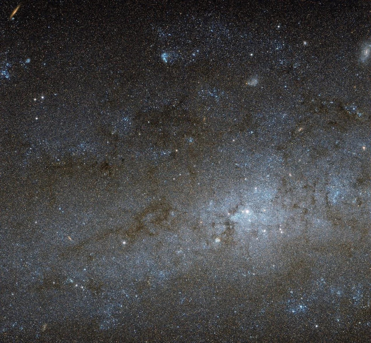 The galaxy's nucleus is visible here as a bright, whitish patch, surrounded by a mixture of bluish-white stars and blackish clouds of gas and dust.