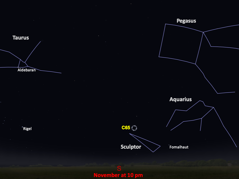 A star chart shows C65 above the constellation Sculptor, in the southern night sky in November at 10pm.