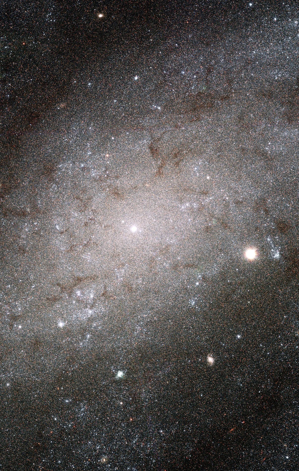 The very center of the galaxy glows bright white. All around it, the white stars of its spiral arms resemble grains of sand. There are scattered dark tufts of dust and gas scattered throughout.
