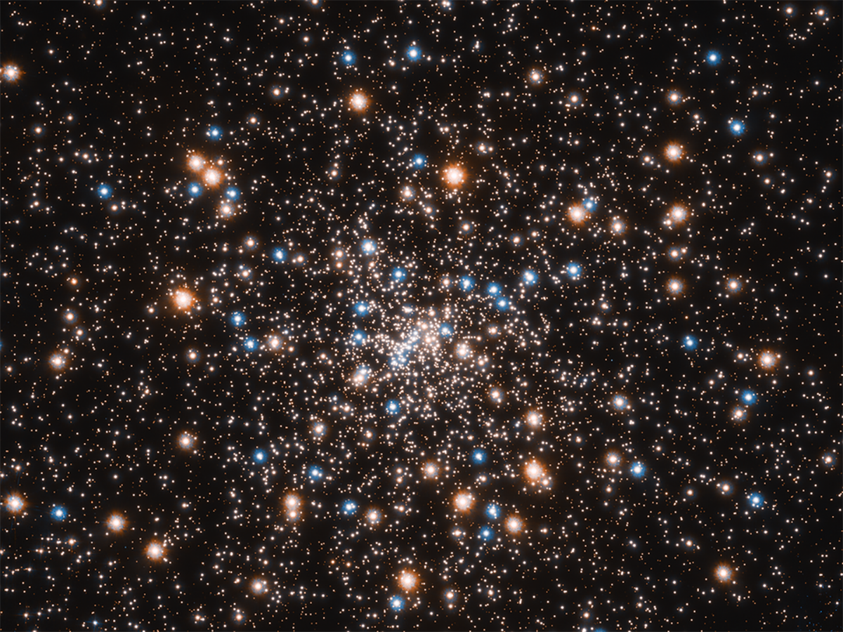 A cluster of bright blue, red and white stars against the black background of space.