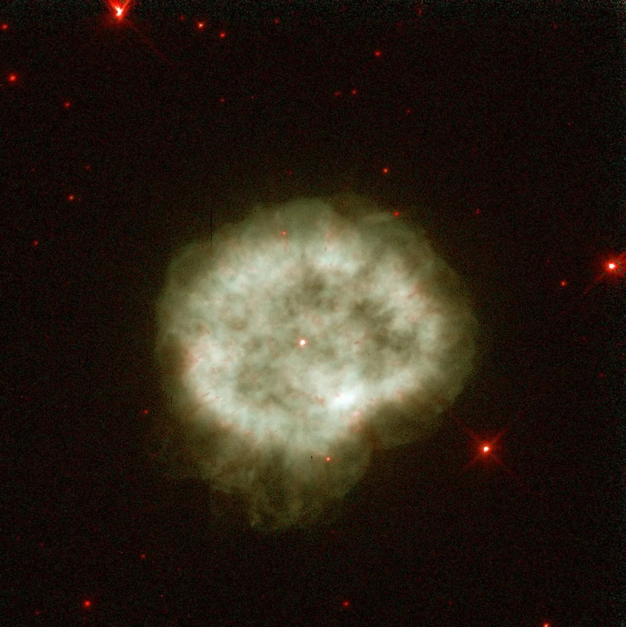 A cloud of white-gray gas with a star at its center, with a scattering of small red stars around it.