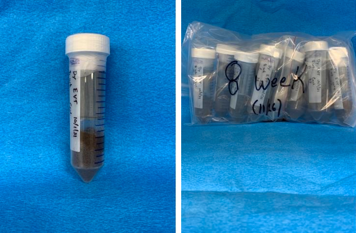 Left photo: Small clear tube on a blue background. There is a white stopper at the top of the tube. The bottom 25% of the tube contains dark soil. Right photo: Clear bag with “8 week (11/26)” written on it and containing 13 opaque tubes with white stoppers. Each tube contains about 25% dark soil.