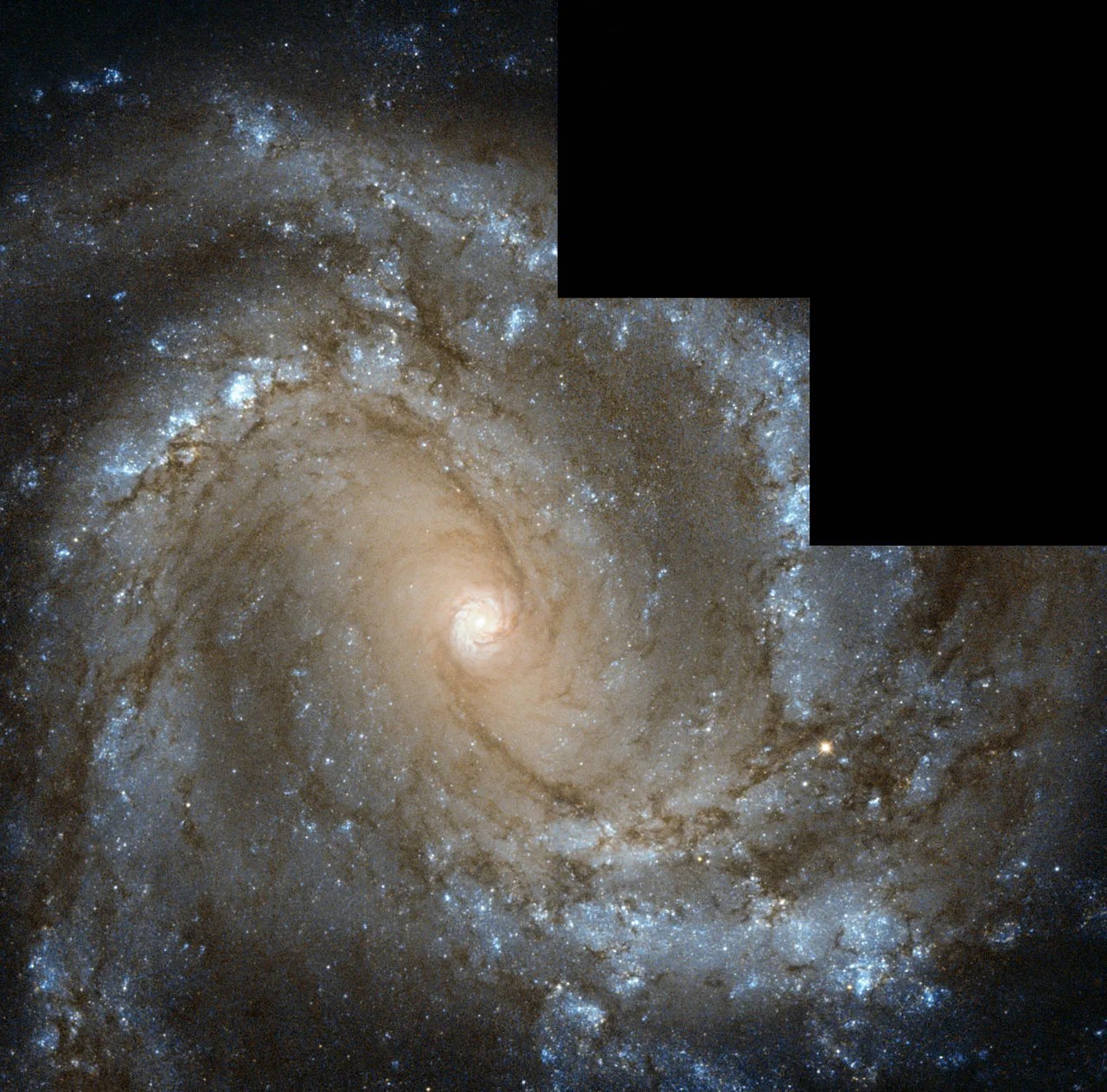 Messier 61 Looks Straight Into Hubble's Camera - NASA Science