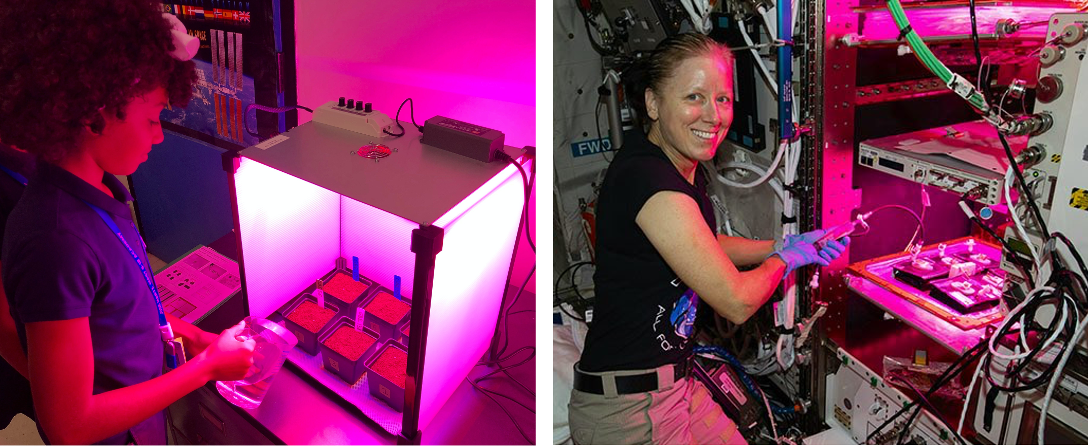 Photo of a young female student watering seeds in a grow box emitting a pink glow (left) and a female astronaut water seeds on the International Space Station in a grow box that is also emitting a pink glow.