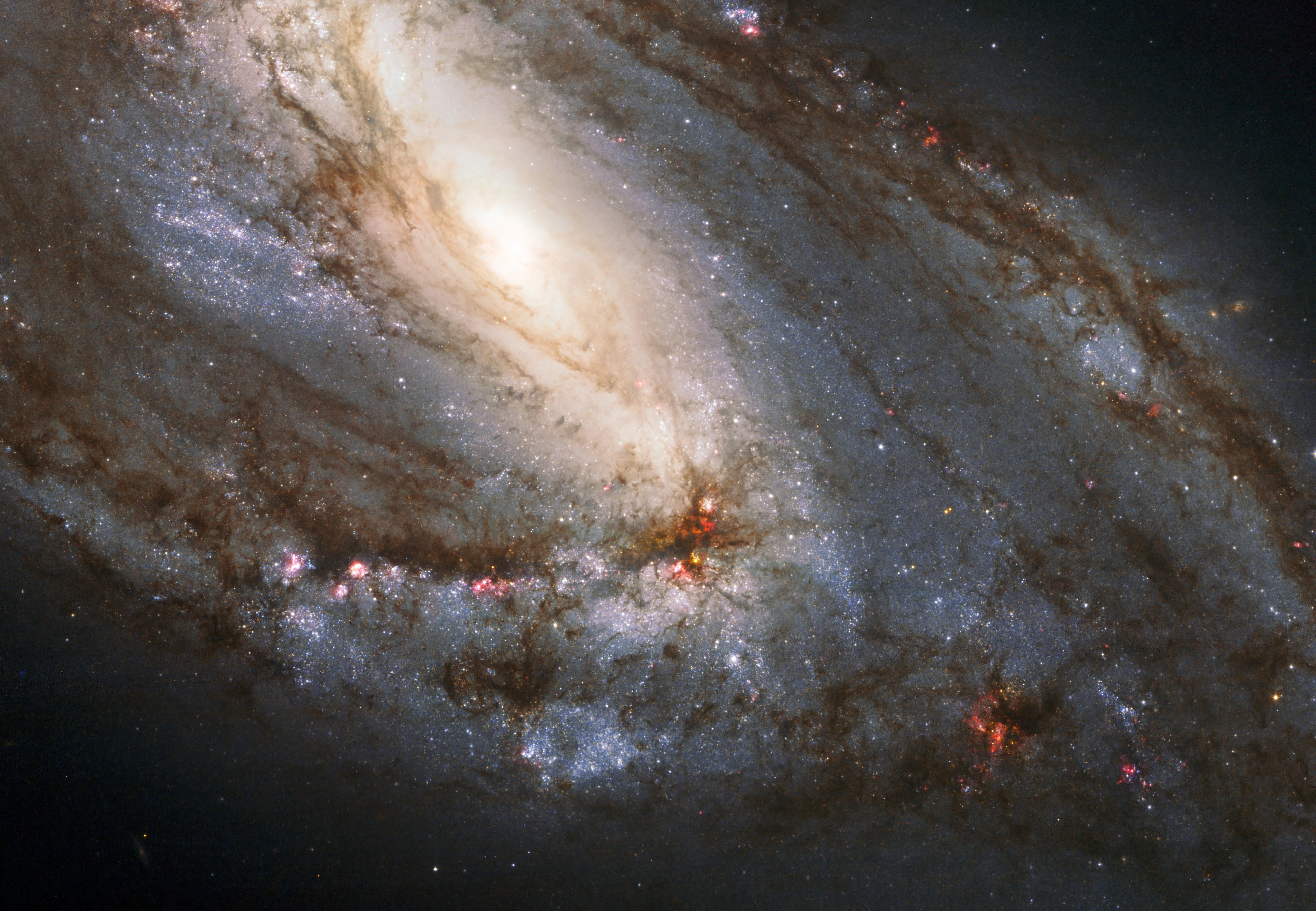 A spiral galaxy is viewed sideways, with the glowing core closer to the upper left of the image. It is surrounded by spiral arms laced through with dark dust and bright regions of star formation.