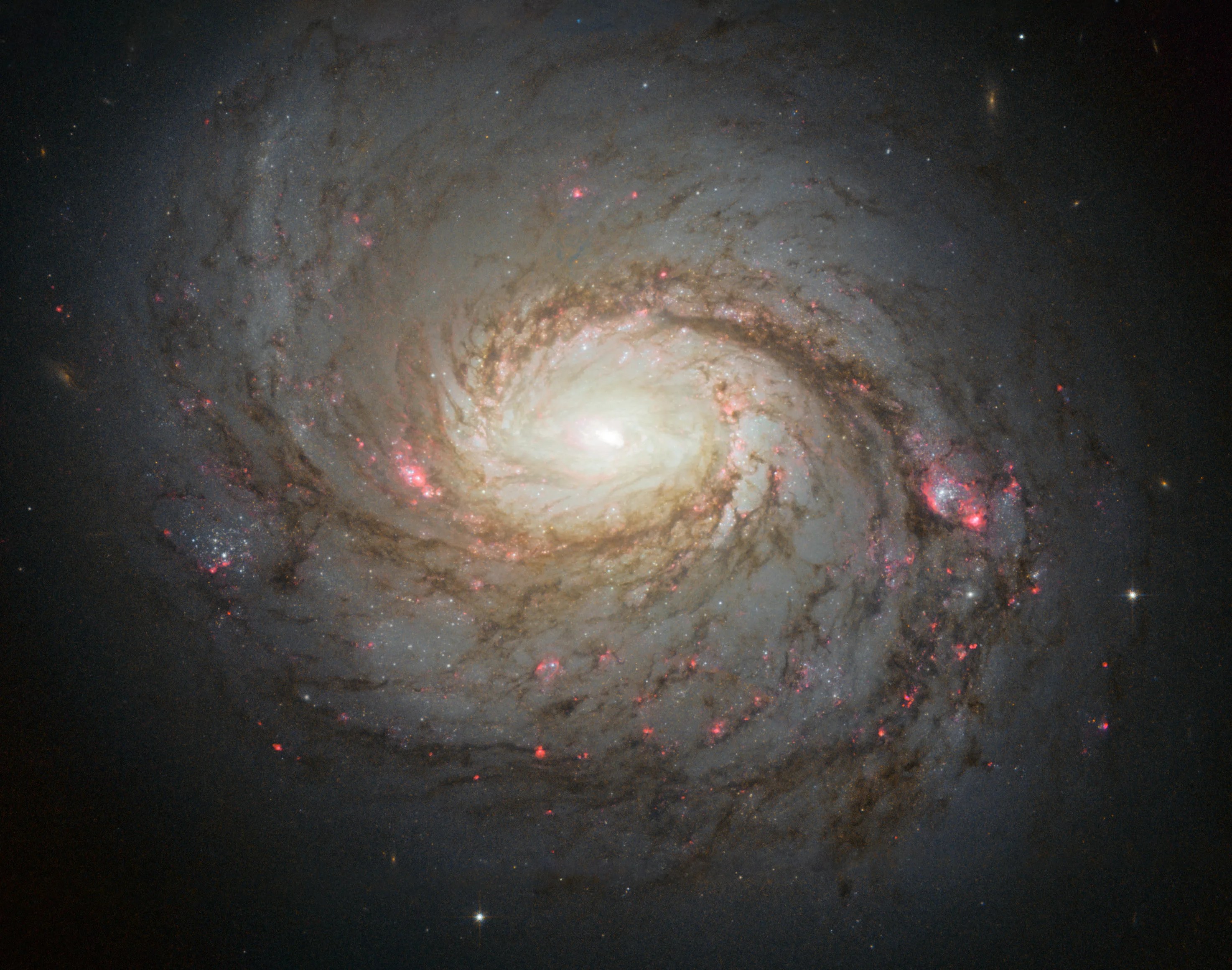 A bright spiral galaxy with a yellow core shines at the center, surrounded by spiral arms laced through with dark dust and pink regions of star formation.
