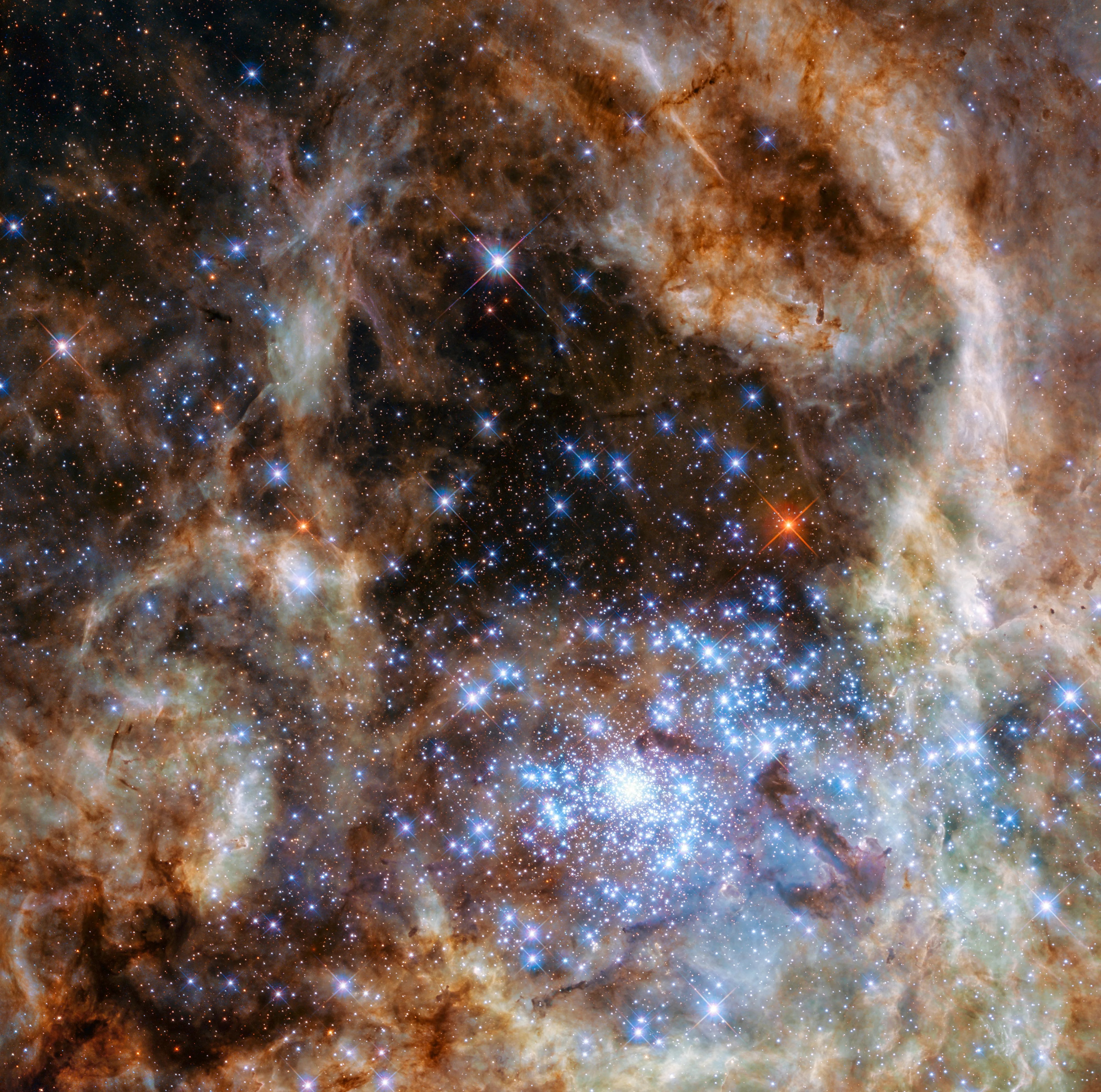 This Hubble image shows the central region of the Tarantula Nebula in the Large Magellanic Cloud