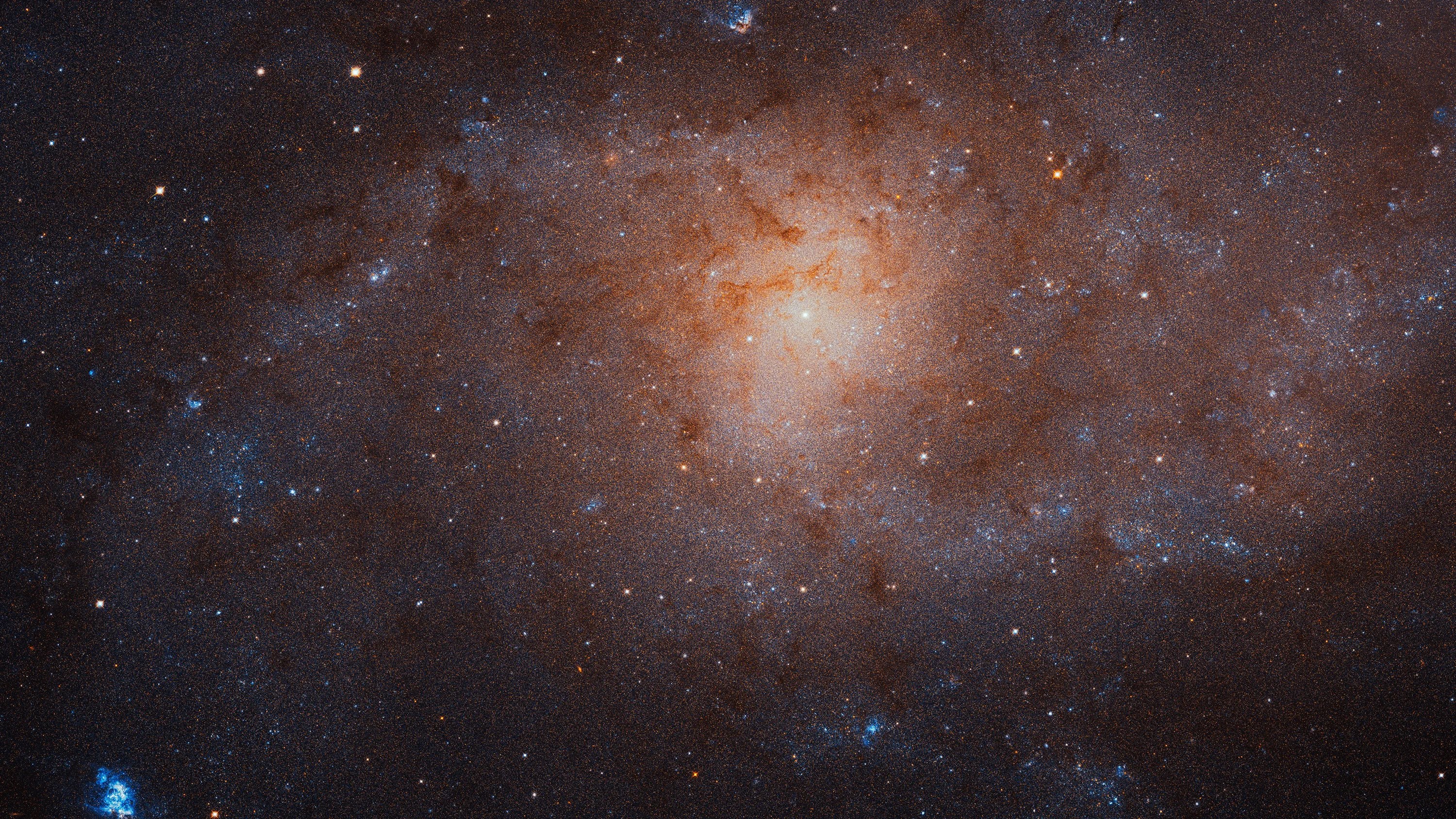 A galaxy image with little structure but a clear central region of yellowish stars and an exterior of dust and blue star formation.