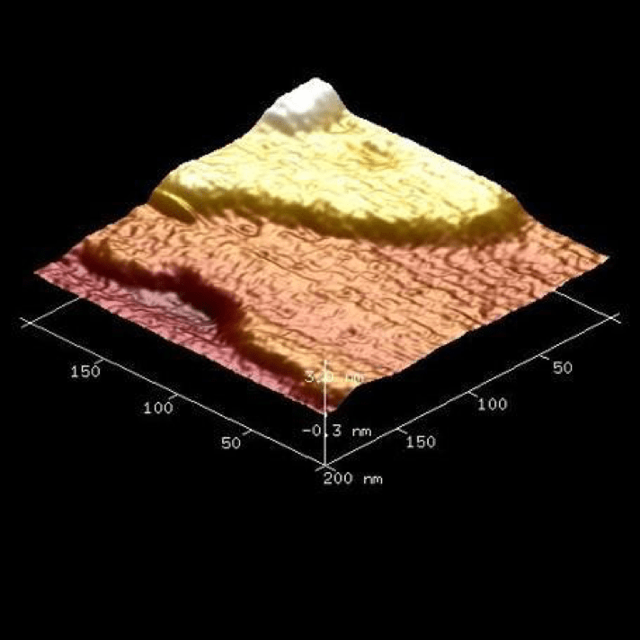 1)Three-dimensional rendering of the surface of a hematin crystal, along an x, y, and z axis.  Moving from lowest to highest points (front to back): the  lowest segment in red appears to be a valley, rising to a lower-middle segment that is fairly flat represented in an orange color, which rises to an upper middle segment that is also fairly flat represented in yellow, followed by small area at the top in white.