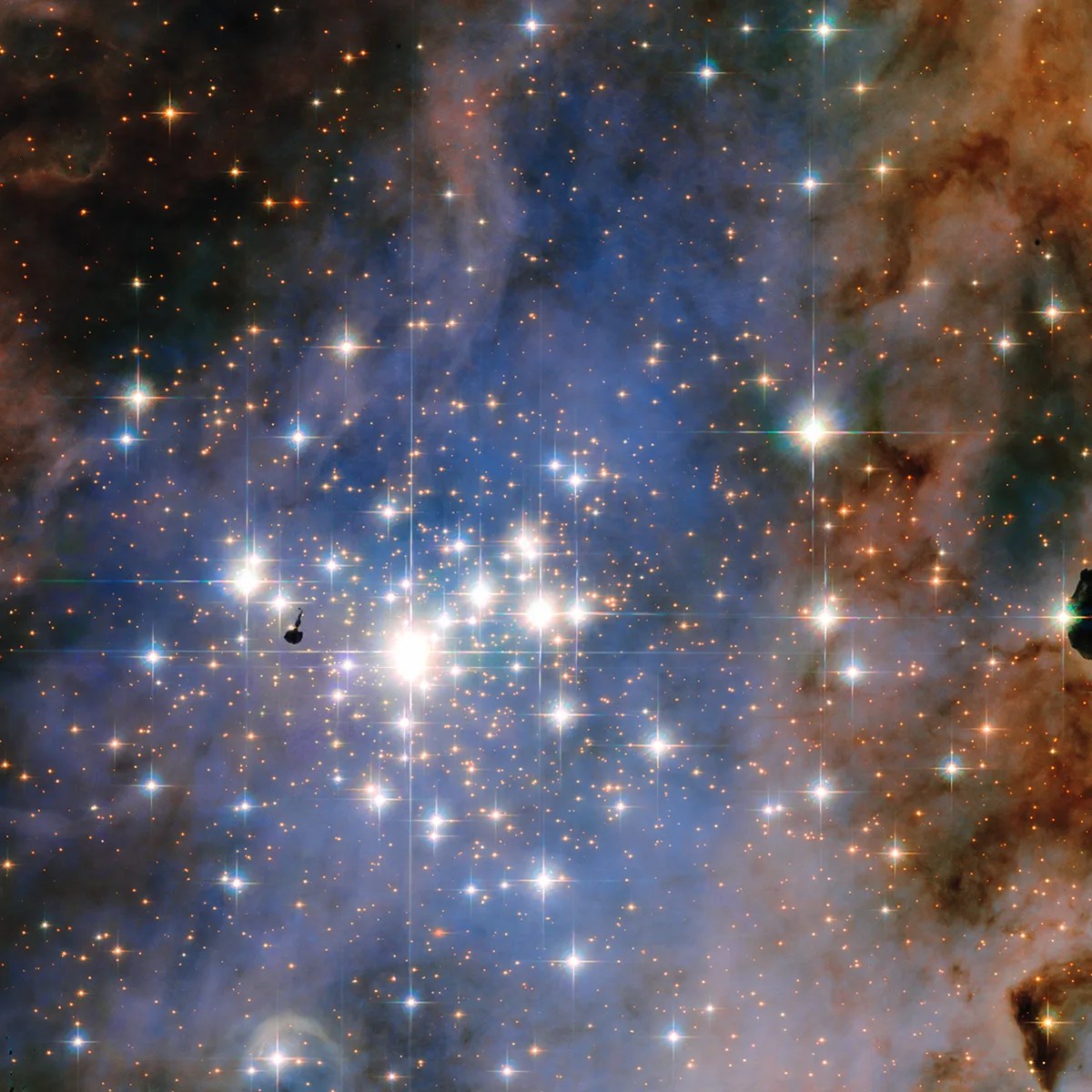 A glittering star cluster surrounded by blue and purple gas, with pink and reddish-brown gas along the edges.