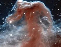 Horsehead Nebula Hubble