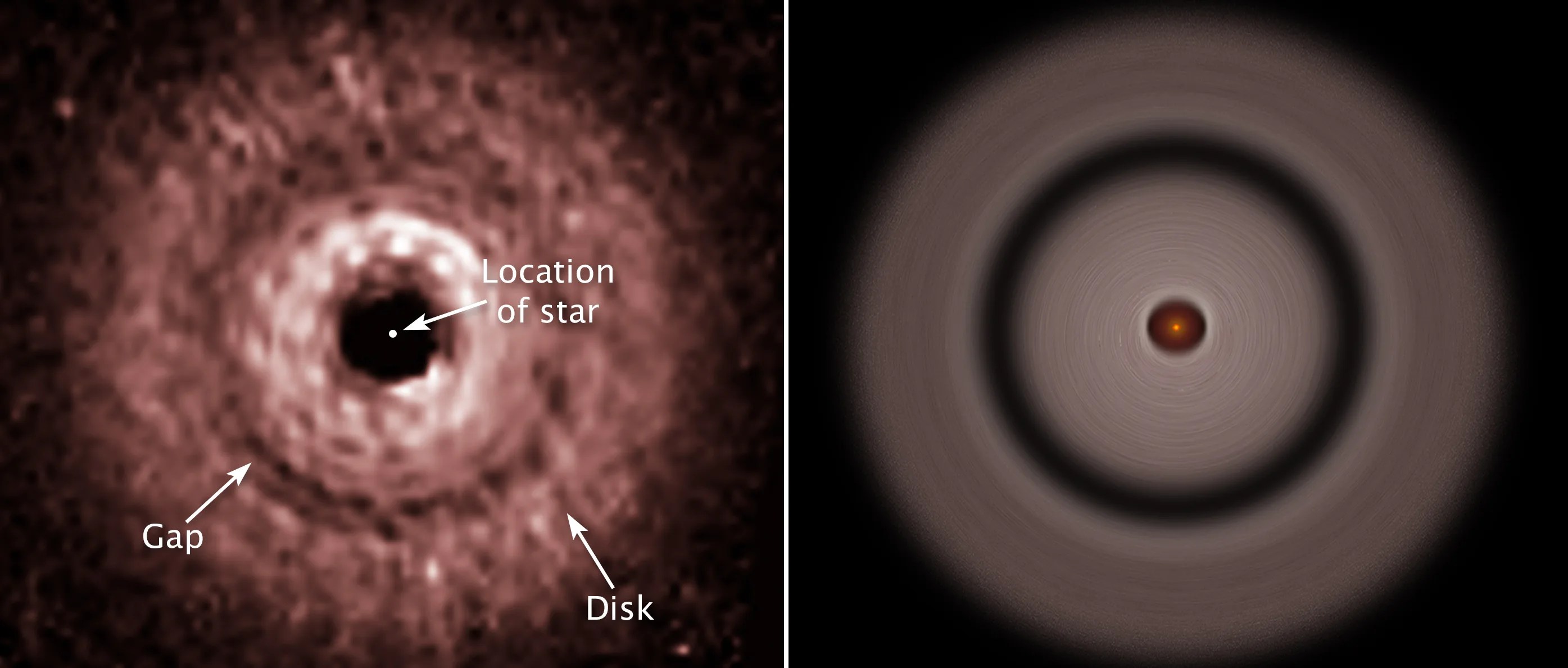 TW Hydrae Hubble observation (left) and illustration (right). Left: pinkish disk that is black at its center, a lighter pink around the center. A darker pink ring midway through the disk. Right: illustration outlining features in the observation.