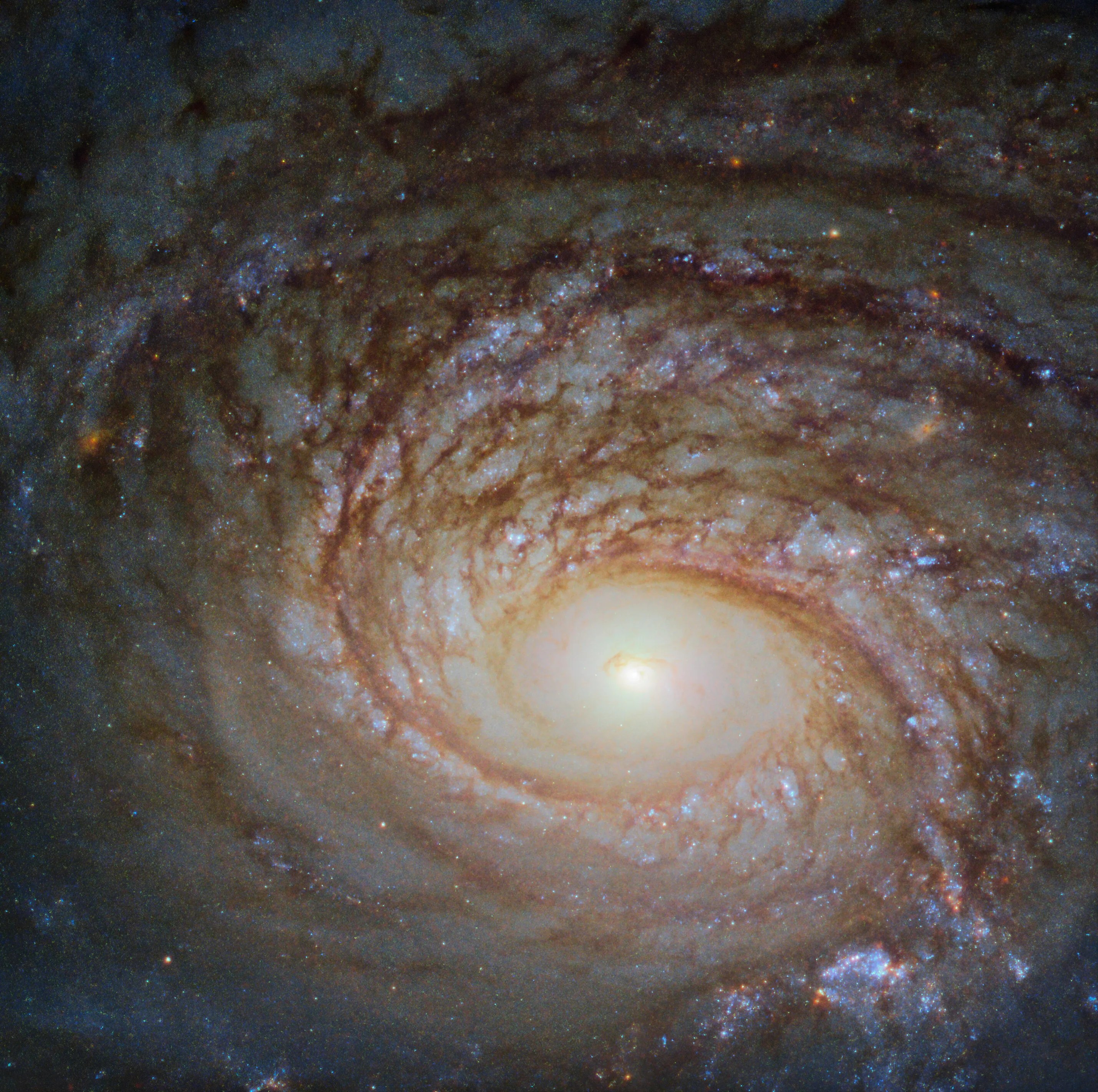 Hubble image of ngc 772