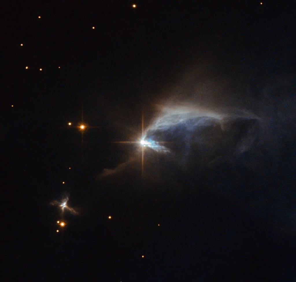 Surrounded by an envelope of dust, the subject of this Hubble image is a young forming star