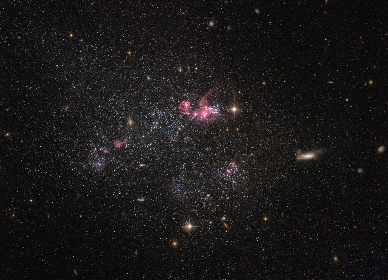 A field of stars fills the image, with pink filaments near the center that show the dwarf galaxy UGC 4459.
