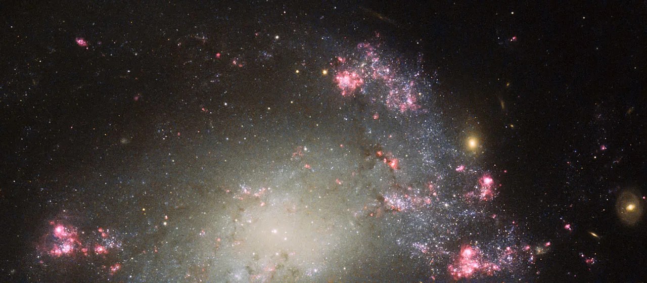 Bursts of pink and red star clusters and dark lanes of mottled cosmic dust surround a bright core in this partial image of a galaxy