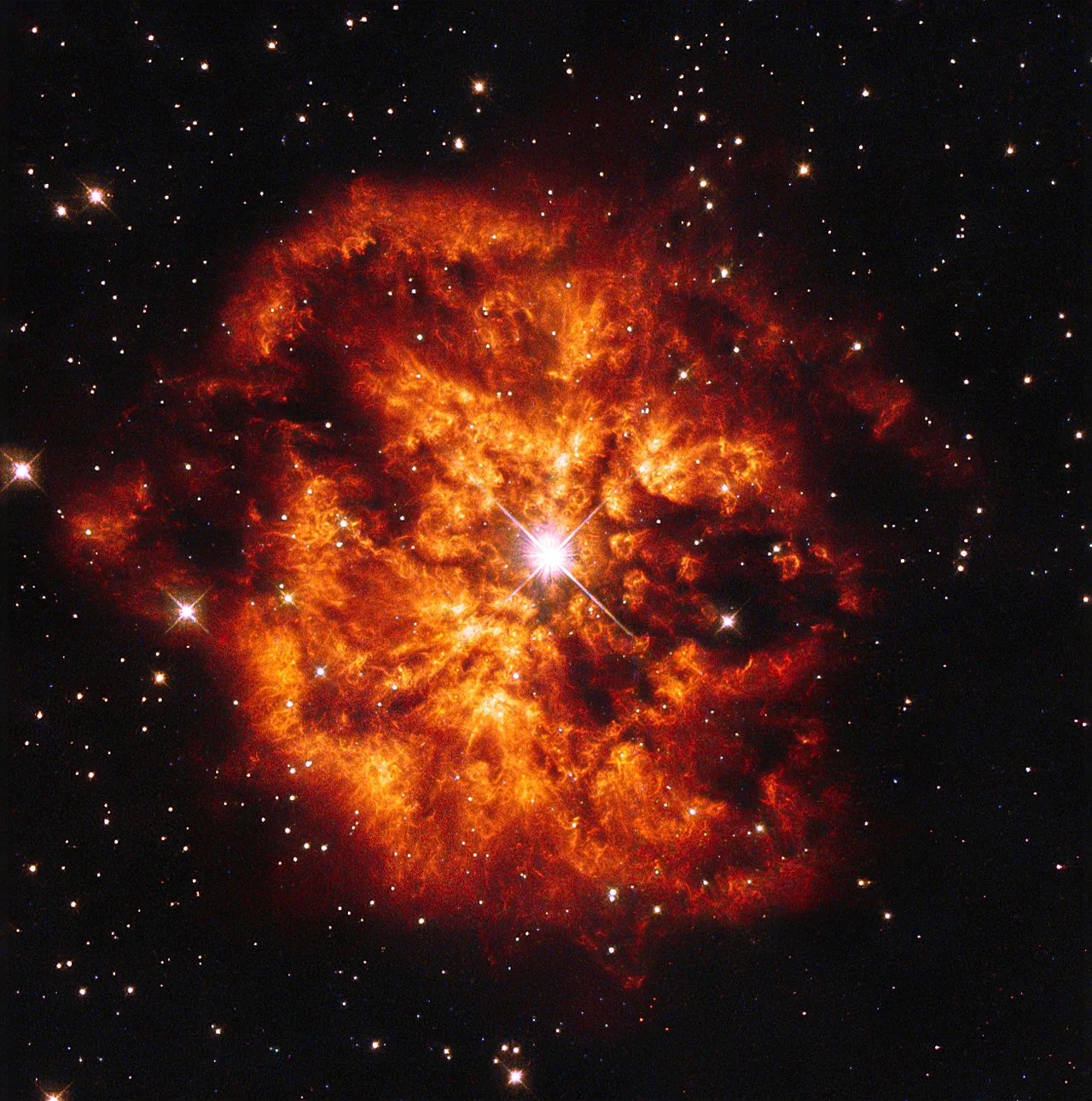 An orange nebula surrounding a bright star on a black background