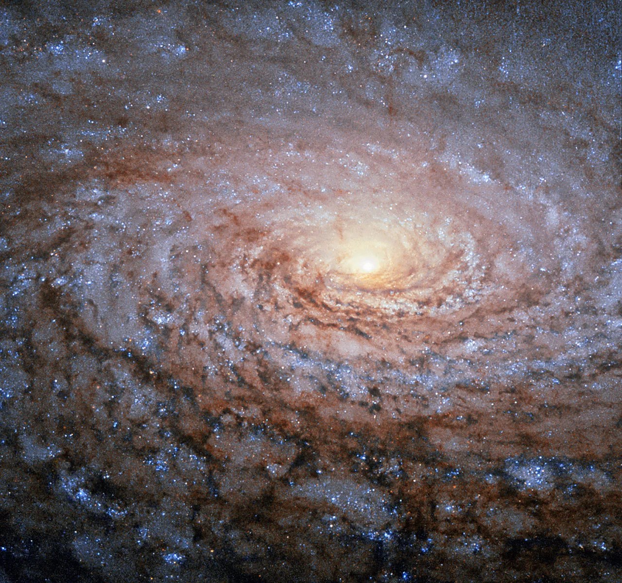 A swirling spiral galaxy with a bright core, and glowing bluish star clusters and dark dust lanes throughout its fluffy appearing arms.