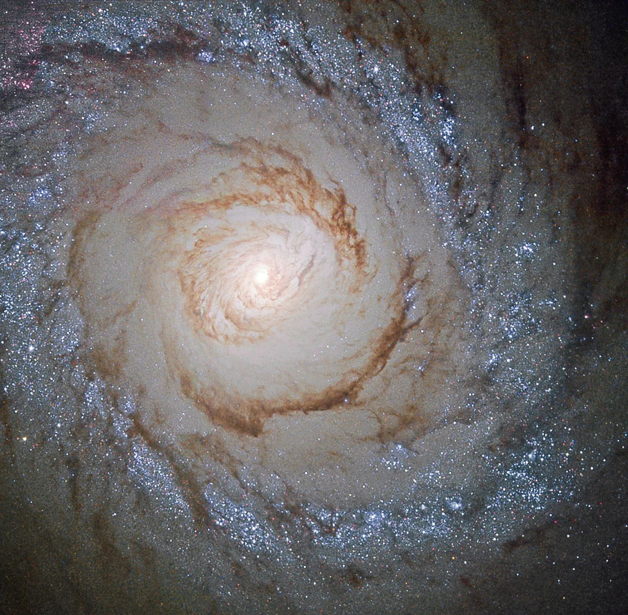 Galaxy messier 94. Its outer spirals of blue stars, with a smatter of pink, make a nearly-circle shape around the core. The inner part of the galaxy has several reddish-brown trails of gaseous arms.