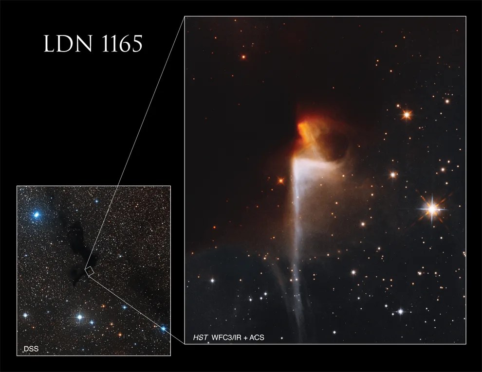 Lower left: star-studded image holds a sinuous, inky-black dark nebula at its center. Right two-thirds: Hubble's view, orange nebula emerges from dark nebula, with white nebula below stretching to the bottom of the image. .