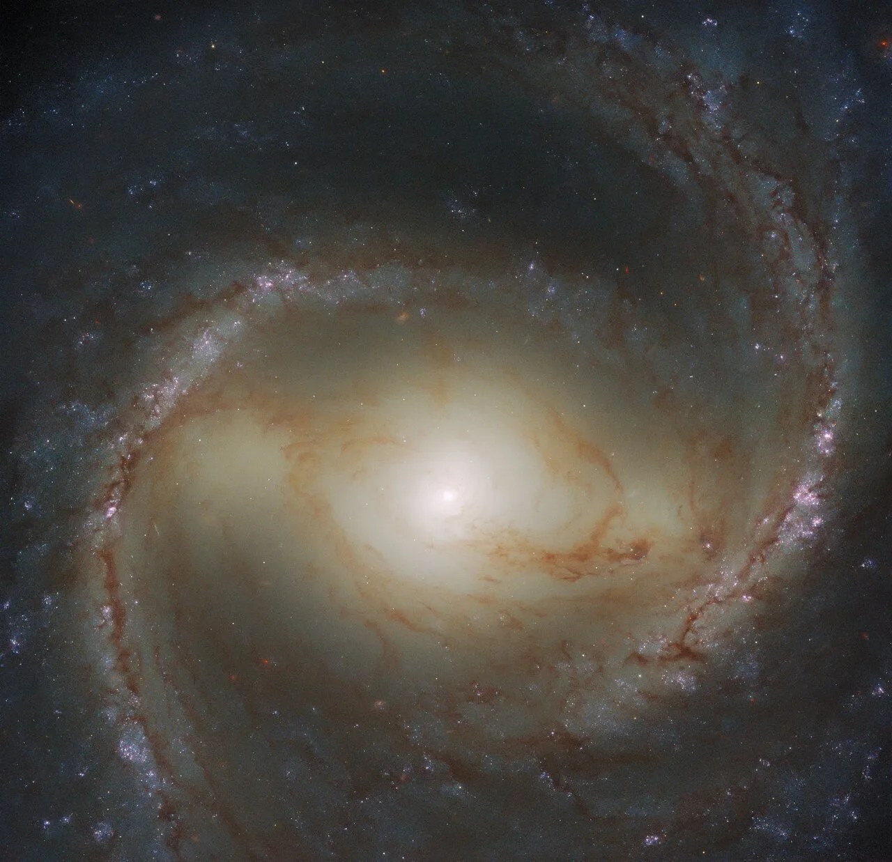 Barred spiral galaxy m91